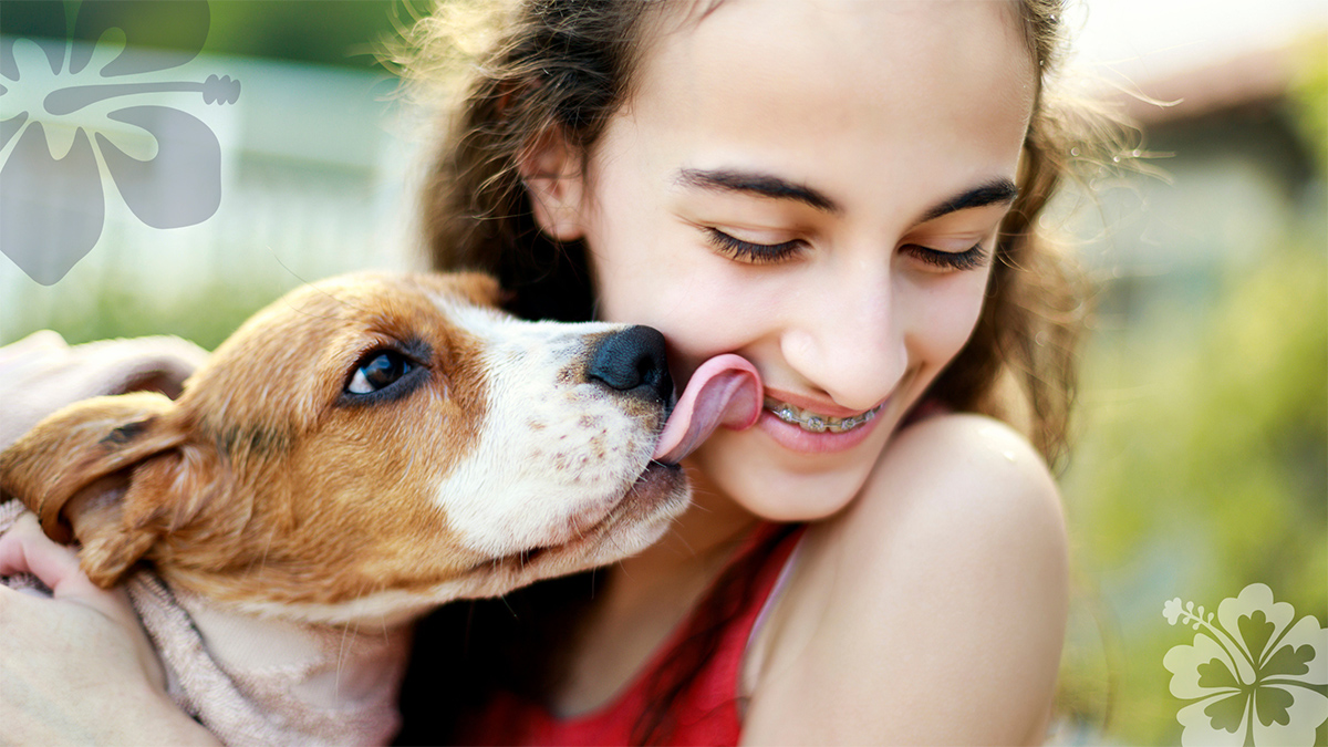 Orthodontics and Animals